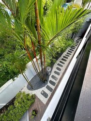 Hillview Estate (D23), Detached #459343361